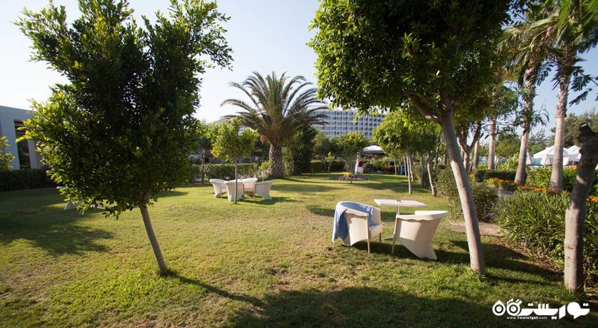 نمای کافه واتر پایپ